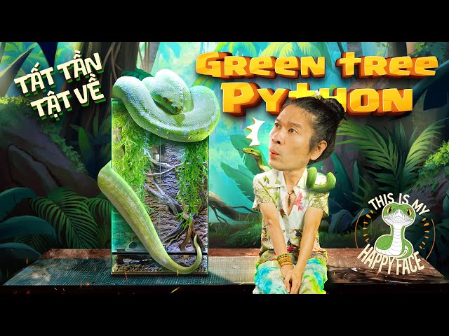 ALL ABOUT TREE PYTHON | GREEN TREE PYTHON: THE "GEM" OF THE REPTILE KINGDOM