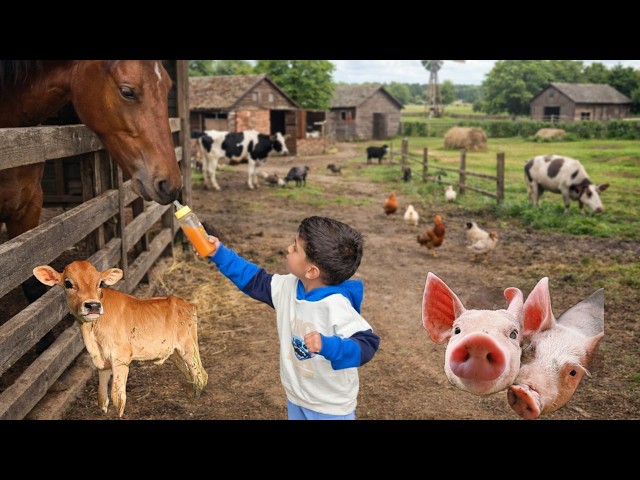 Granja de Animales con ithanTube