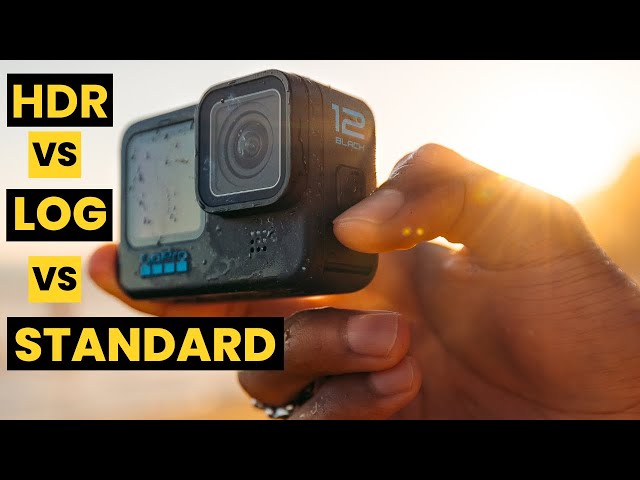 GoPro Hero 12: HDR Vs GP Log Vs Standard