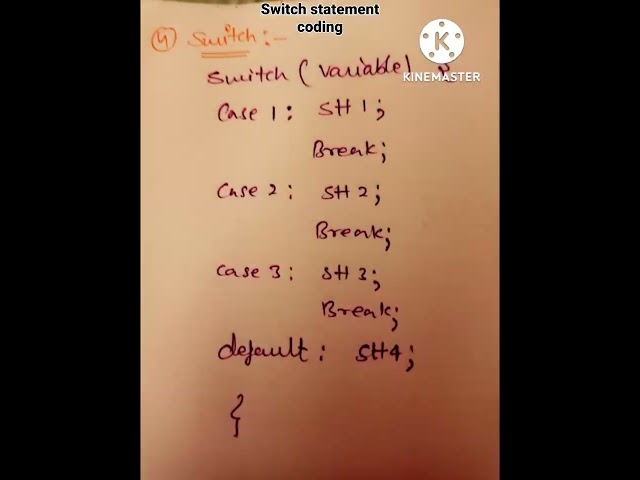Switch Statement Syntax in java