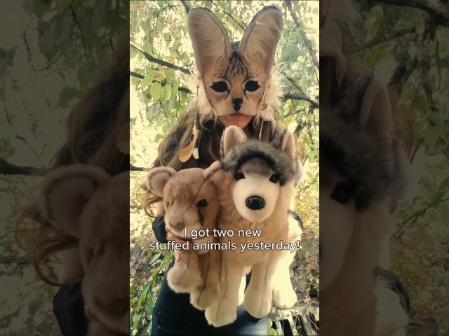 New stuffed animals! 🐾°♡.•💛 #stuffedanimals #stuffedtoys #style #therian #antizoo