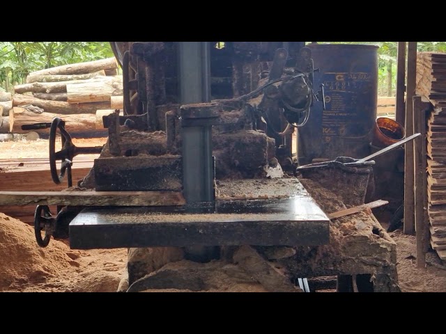 NEXT-LEVEL Wood Slicing: How Advanced Sawmills Handle Long Logs