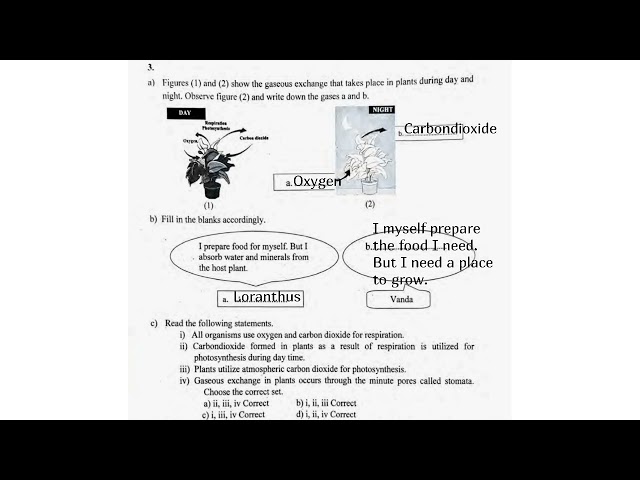 PREVIOUS YEAR QUESTION PAPER || BASIC SCIENCE || CLASS 5 || 2025-2026 ||