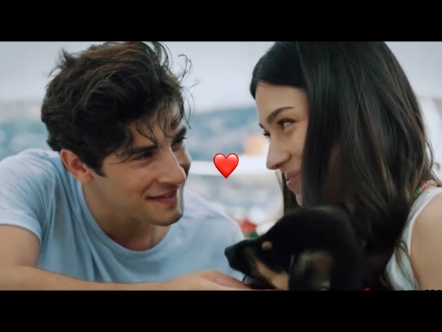 Hazal & Orjinal | Duy beni