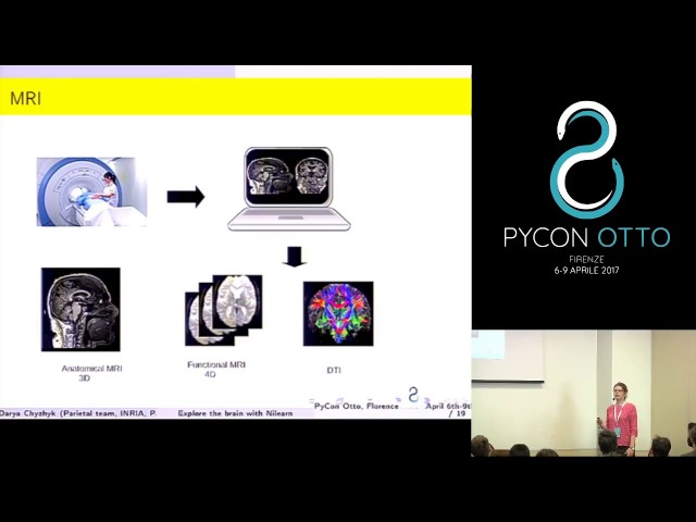 Daria Chyzhyk - Explore the brain with Nilearn