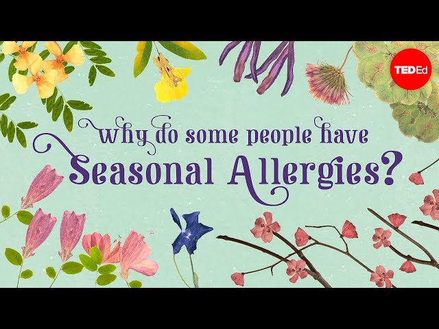Why do people have seasonal allergies? - Eleanor Nelsen