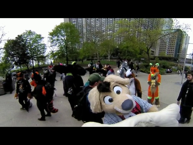 Furry 360 Victoria Day 2017 Part 2 From Union to Harbour Square Park to Paws Way