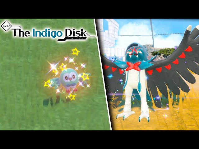 NEW *EASY* SHINY ROWLET EXPLOIT IN POKEMON VIOLET! Best Location Shown / Indigo Disk DLC