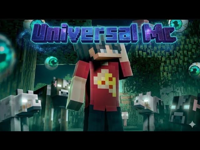 I FOUND THE BEST PUBLIC SERVER [UNIVERSAL MC] @SenpaiSpider 