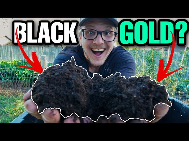 CHEAP And EASY DIY Worm Composting Bin!