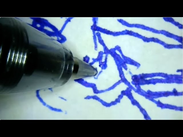 cod worms in 90% of cod? Haddock thaw under microscope. Sketching makes music for worms to dance to