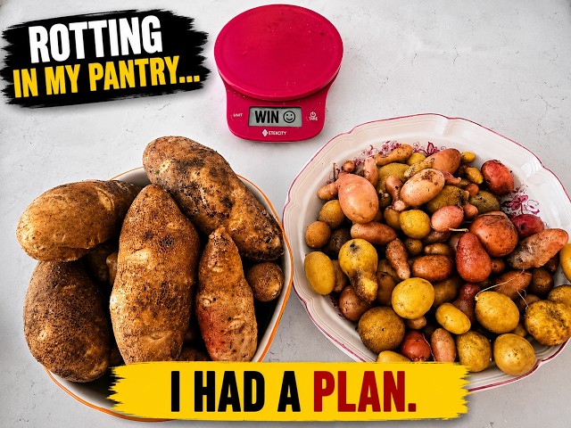 I Forgot These Potatoes in My Pantry... Then THIS Happened! 🥔🌱