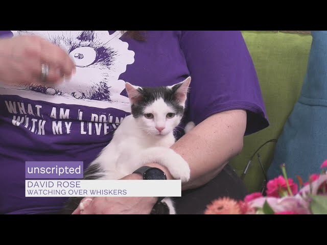 Sponsored Content: Watching Over Whiskers With Marci Bowling, John, David And Moira Rose