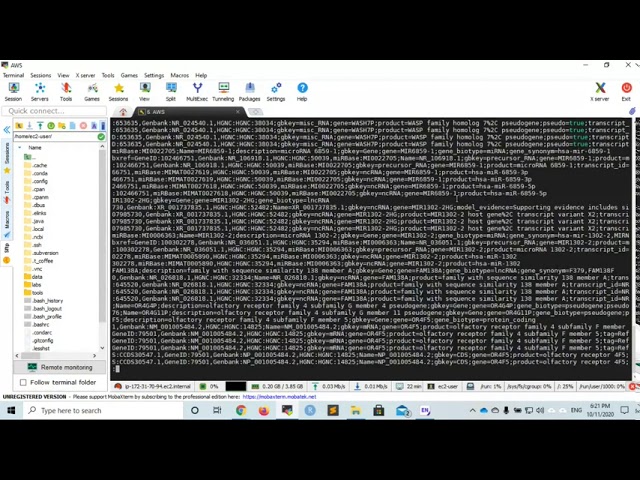 Bioinformatics 12: Writing a bash script