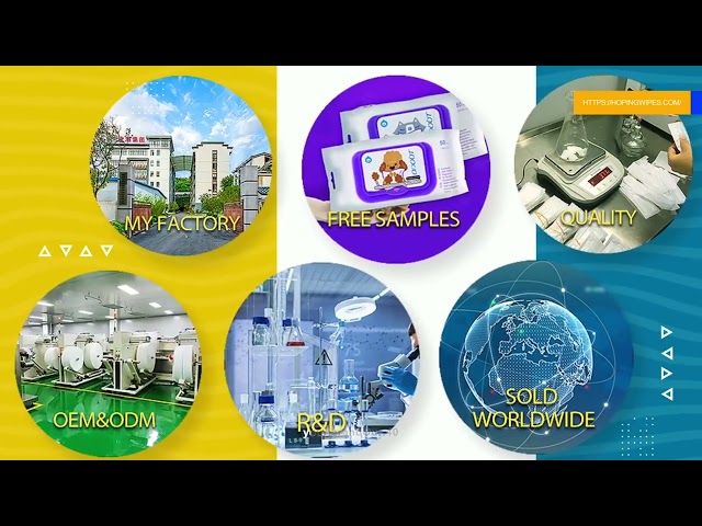 Premium Leather Care Wipes Manufacturer - Bulk Supplier SeleWipes