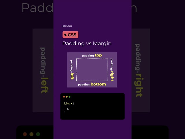 Padding vs Margin in CSS #html #css #programming #coding #playnix