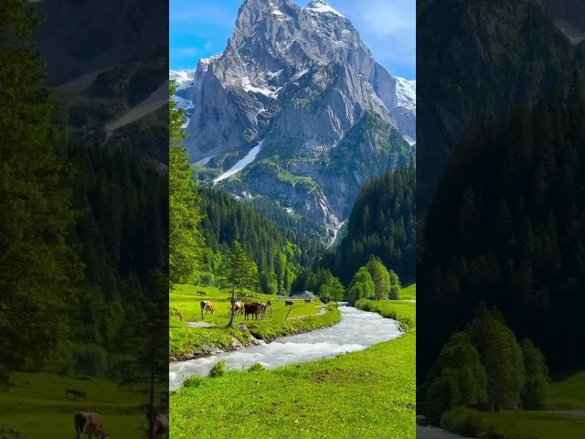 Beauty of Gilgit-Baltistan Pakistan 👉❣️#gilgitbaltistan #nature #godgifted#nature#shorts #travel