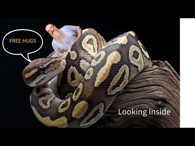 What is in There
