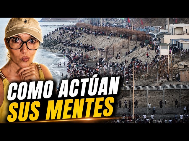 Behavioral Patterns at the Border | Psychological Analysis