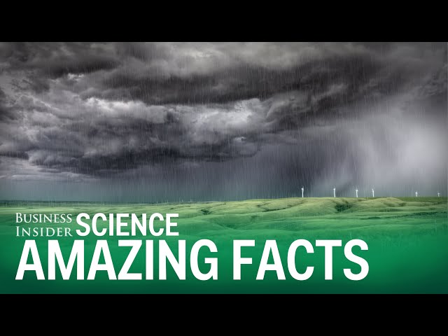 5 Amazing Science Facts