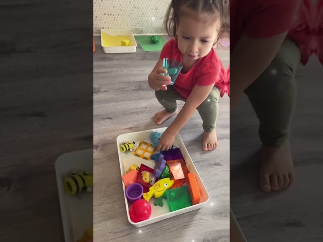 Color Sorting Game: The Fun Way To Learn Colors!