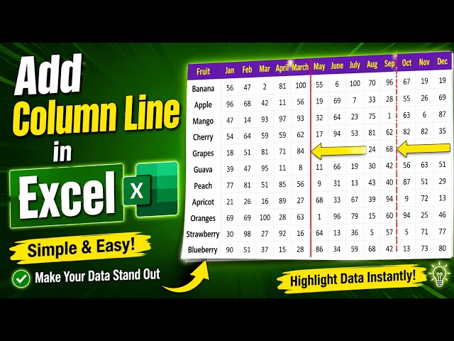 How to Add Column Line in Excel | How to Add Vertical Line Between Columns in Excel