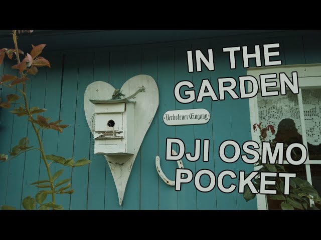 In The Garden with DJI Osmo Pocket