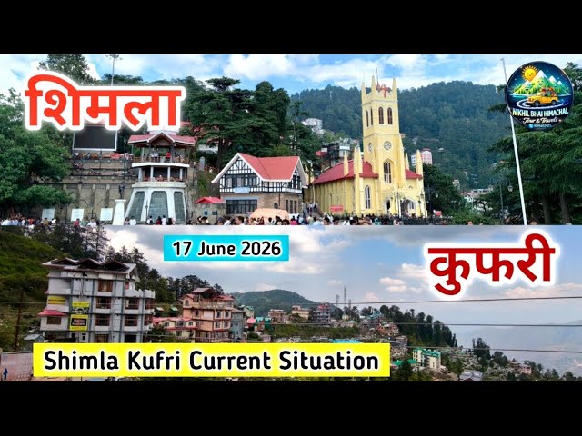Shimla current situation today, Shimla kufri tourist places latest video, Shimla kufri latest video 