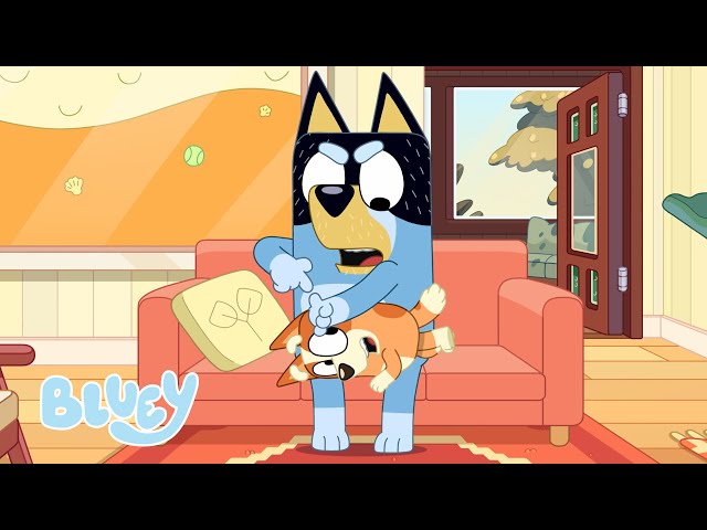 Government ✉️ | FULL BLUEY MINISODE | Bluey