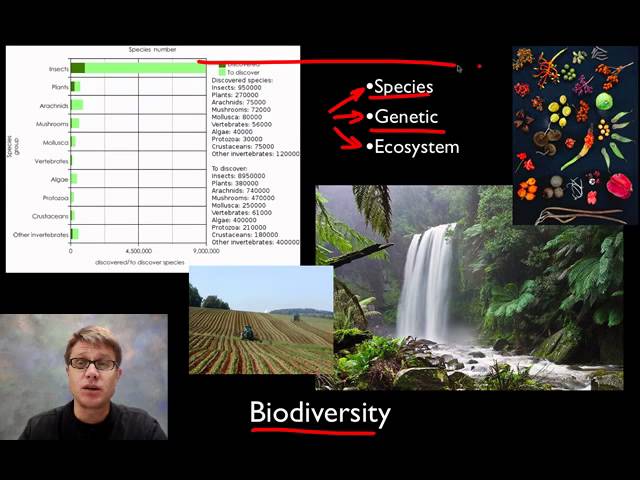Biodiversity