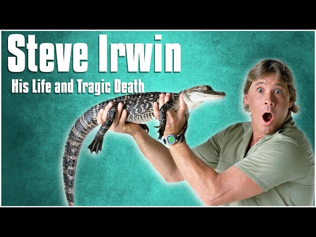 The Life and Tragic Death of Steve Irwin | Biography | Well, I Never Stars