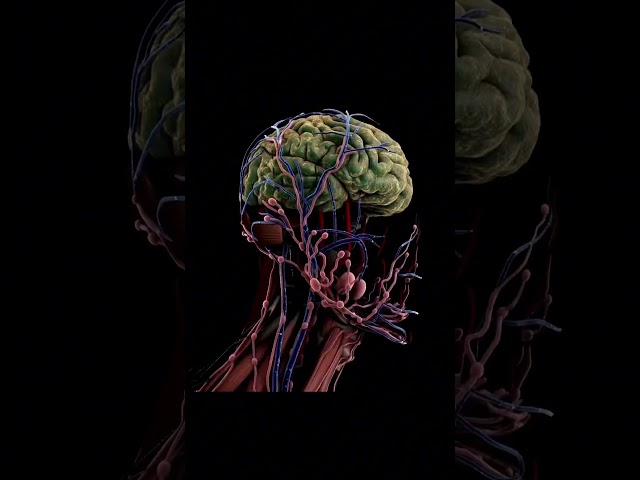 Deepseek vs Chat GPT battle☠️☠️☠️😂👽 #javascript #ai #python #programming #fyp #learnjavascript