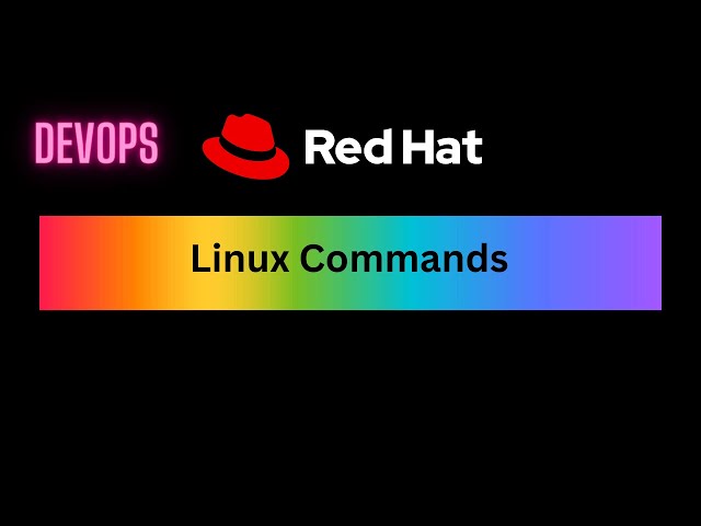 DevOps: Linux Lecture 3 - File System Hierarchy, Absolute and Relative Path, touch, mkdir, cat