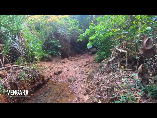 നാട്ടുവഴിയിലൂടെ | വെങ്ങര | എന്റെ ഗ്രാമം | Vengara | My Village | EarlyBird Design Studio