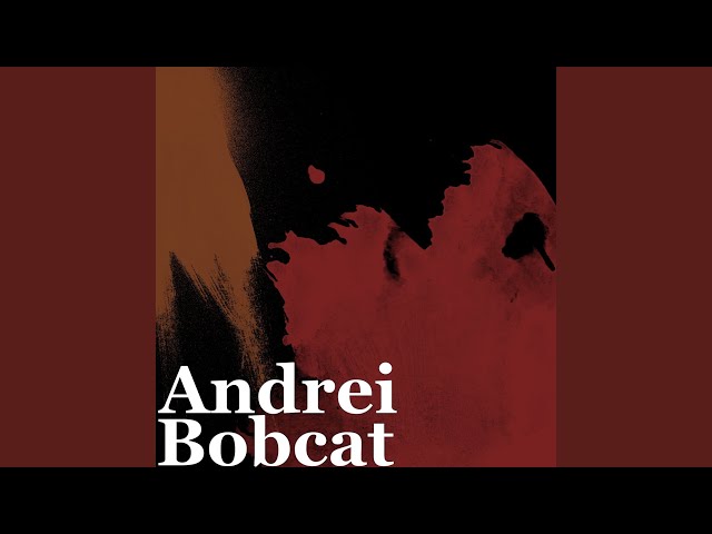 Bobcat
