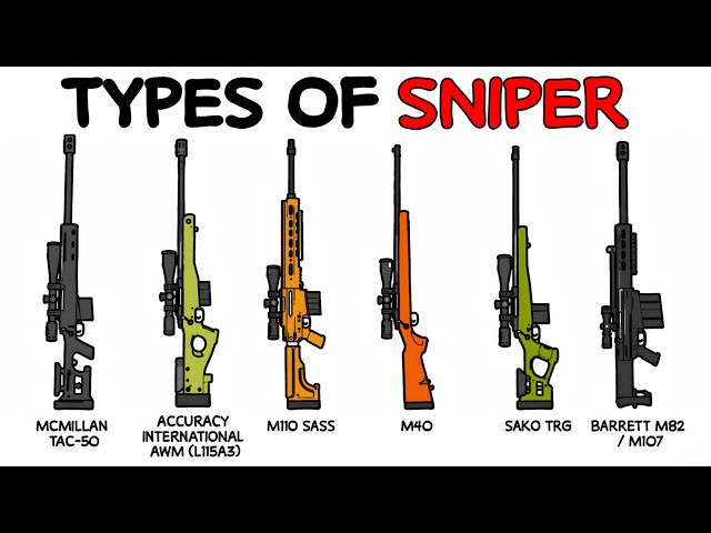 Every Type of Sniper Explained