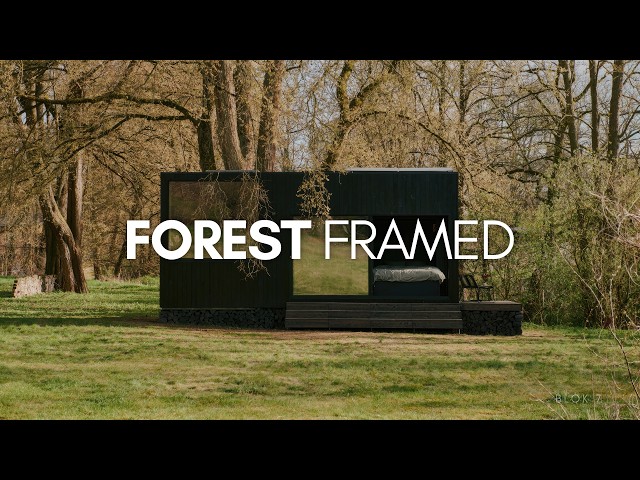 This Tiny Cabin Frames the Forest in Every Direction