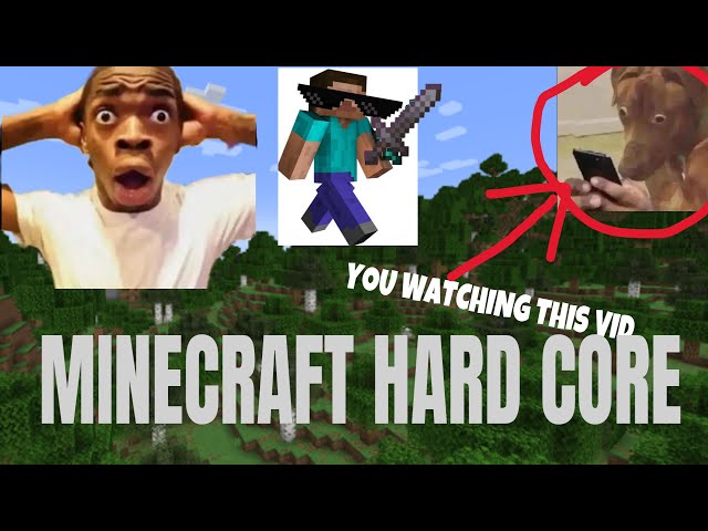 minecraft hardcore tutorials be like