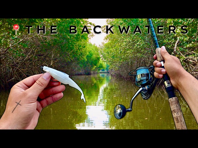 2 Days Fishing for Tarpon & Snook in the Florida Backcountry!