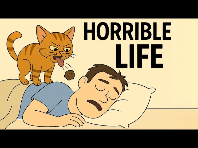 Why It REALLY Sucks To Be a Cat Owner