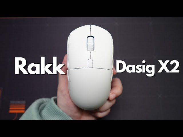 BUDGET Hotswappable Gaming Mouse! - Rakk Dasig X2