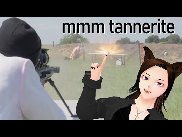 Reacting to How Stable is Tannerite? - FPSTony