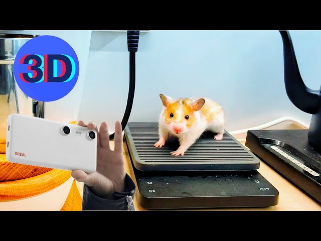 [3D] Xreal Beam Pro inside test ft.hamsters (Xreal glasses optimised)