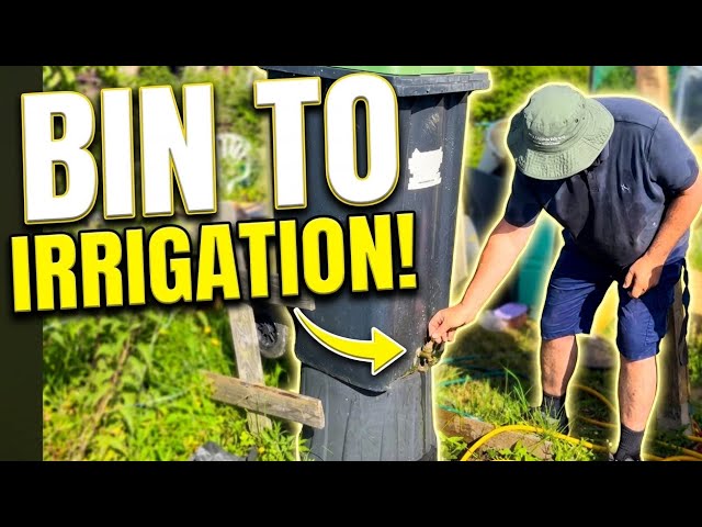 I Built the Cheapest Irrigation System Possible (Here's What Happened)