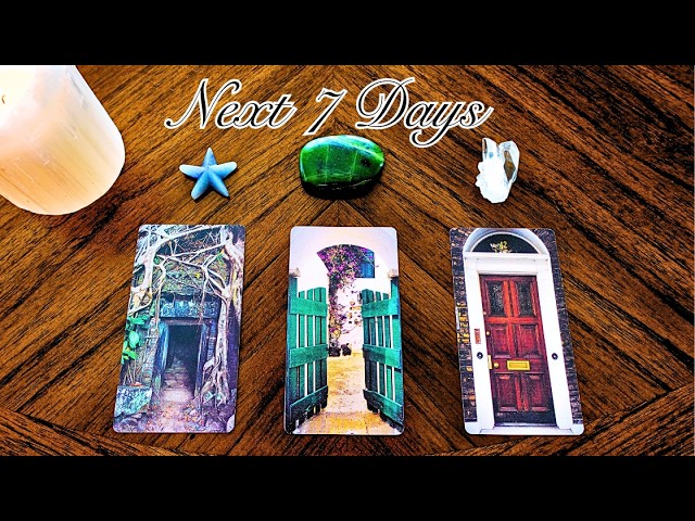 The Next 7 Days🤍Pick a Card✨Pick a Door✨🚪✨