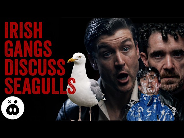 Irish Crime Bosses Vs. Seagulls