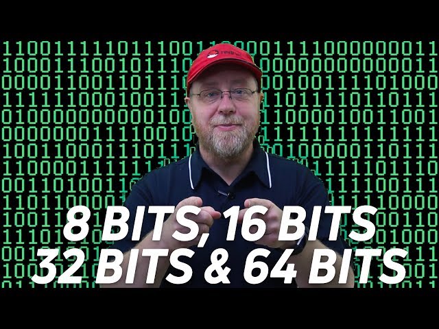 8 bits, 16 bits, 32 bits, 64 bits and nibbles