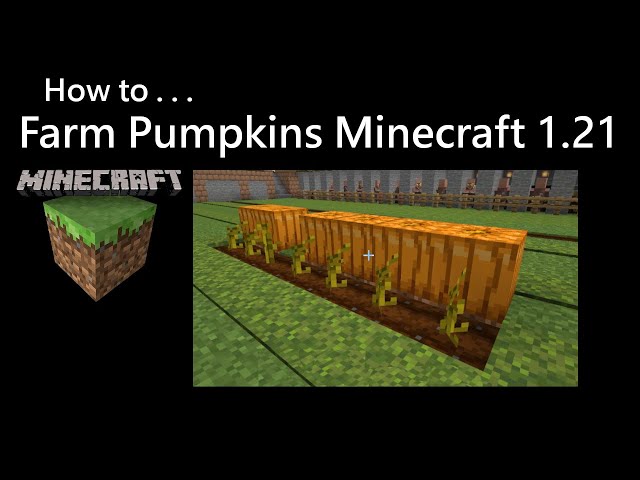 How To Farm Pumpkins Minecraft 1.21