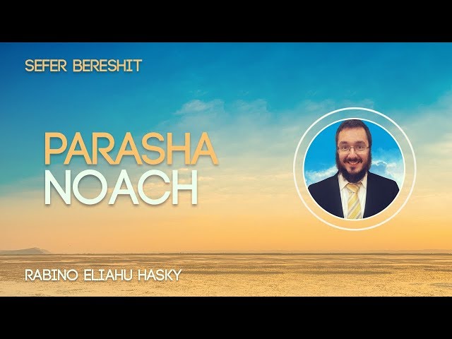 Parashá de la semana: Noé