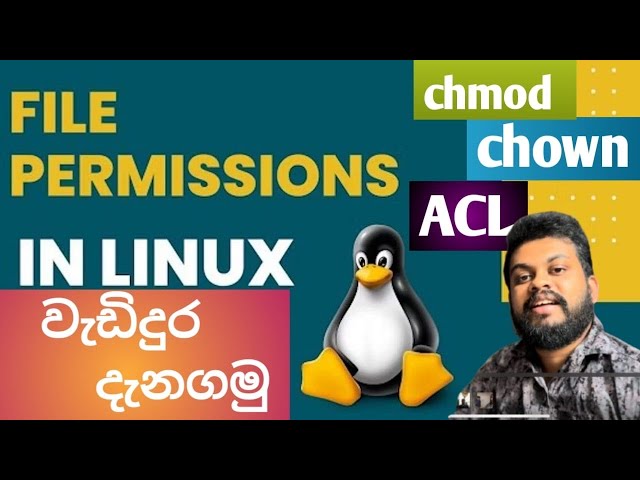 Linux File Permissions - Part 02 | ලිනක්ස් සිංහලෙන් - Beginners 05 | Stay With Nuwan